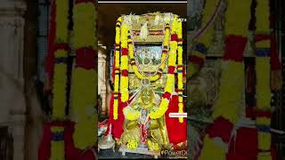 Mantralaya Rayappa🙏🙏mantralaya ragavendra rayarushortvideos devotionalsongsviralshortsrayappa [upl. by Ainocal]