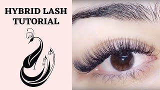 Hybrid Eyelash Extension Tutorial C amp D Curl  Is it OK to mix curls  Eyelash Extensions 101 [upl. by Hachmann728]