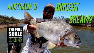 Australias Biggest Bream  Sight Casting Port Pirie  The Full Scale [upl. by Helfand]