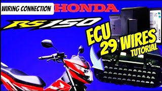 HONDA RS150 ECU 29 WIRES CONNECTION TUTORIAL  HONDA RS 150 ECU WIRING DIAGRAM [upl. by Yelyac811]