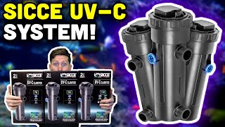 Sicce UVC Clarifiers Your Next Option for UV Treatment [upl. by Anytsirk516]