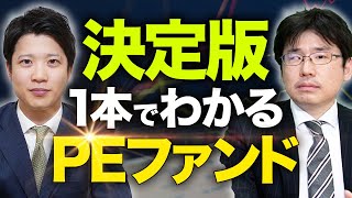 【徹底解説】PEファンドの種類・仕事内容・各社の違いを大公開【転職VCMampA転職総研】 [upl. by Aneeuqahs47]