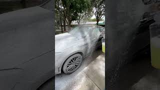 Satisfying DEEP Wash on AMG shorts [upl. by Mcconaghy462]