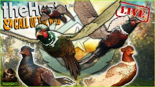 UPDATE 657 Roosters Into Great One Pheasant Grind 4 On Salzwiesen Park Call of the wild [upl. by Sivartal663]