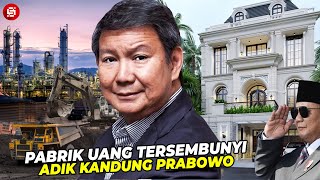 PEMASOK DANA PRABOWO SAAT NYAPRES  Bongkar Gurita Bisnis amp Kekayaan Hashim Djojohadikusumo [upl. by Christye]