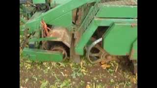 Beet Harvesting 20111 [upl. by Naillimxam271]