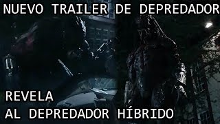 10 curiosidades sobre DEPREDADOR PREDATOR [upl. by Kcinemod]