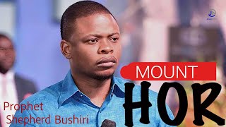 PROPHET SHEPHERD BUSHIRI  MOUNT HOR2024 [upl. by Chauncey946]