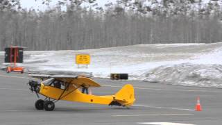 Valdez Airshow STOL Contest Frank Knapp Landing LilCub nearly no wind [upl. by Avra]