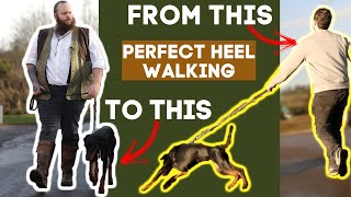 How To Teach Your Dog To Walk To Heel In Seconds [upl. by Pesek]