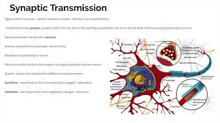 Biopsychology  Revision [upl. by Pathe]