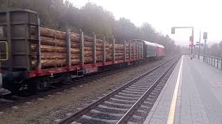 Güterzug nach hohenberg fährt kurz nach 700 aus traisen ab am 28102024 [upl. by Meurer459]