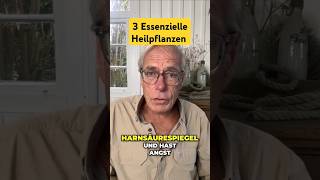 3 Heilpflanzen gegen hohen Harnsäurespiegel  So senkst du ihn [upl. by Aniluj]