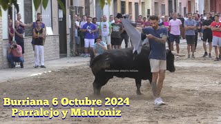 Burriana axiamo  parralejo y Madroñiz  6 Octubre 2024 ✅🎥 [upl. by Senoj]