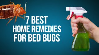 7 Effective Home Remedies for Bed Bugs [upl. by Riti]