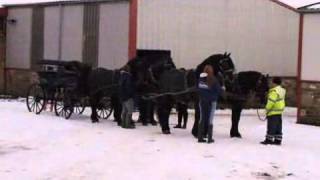 Weddings  Arriving In Style  Hanson Carriage Hire [upl. by Mandell230]