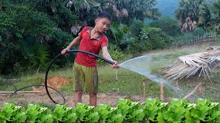 Orphan Boy  Living independently  Gardening bringing water to the vegetable tent episode 42 [upl. by Annaeoj]