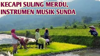 Kecapi suling merdu instrumen musik sunda musik relaksasi di saat santai [upl. by Elyak]