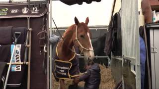 Une immersion dans les coulisses avec julie la groom de penelope leprevost [upl. by Beach]