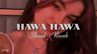 Hawa Hawa SlowedReverb [upl. by Dusty932]