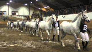 julshow 2015UPK [upl. by Hannad]