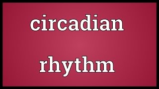 Circadian rhythm Meaning [upl. by Avad]