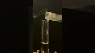 Whats the Deal with Acid Base Salts in Class 10 science scienceexperiment class10 [upl. by Lebatsirc58]