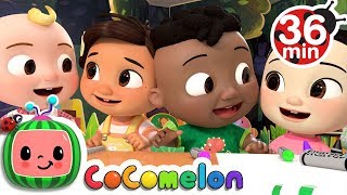 The Hello Song  More Nursery Rhymes amp Kids Songs  CoComelon [upl. by Neom]