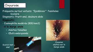 Nematodes Why amp How To Use Them [upl. by Burny]