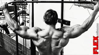 Arnold Back Workout  COBRA BACK [upl. by Witherspoon]