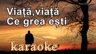 Karaoke  Viata viata ce grea esti  Versuri  Negativ [upl. by Leuname]