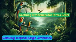 Relaxing Tropical Jungle Ambiance  Soothing Bird Sounds for Stress Relief [upl. by Hector277]