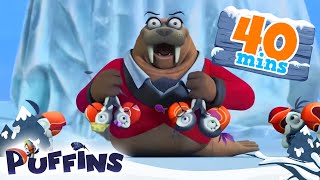 Puffins  40 min  Puffin Magic Moments  Cartoon For Kids  Puffins World [upl. by Yblok451]