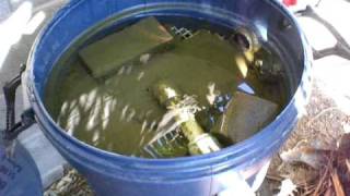 Pond Homemade Bio Filter Part 5 [upl. by Milah660]