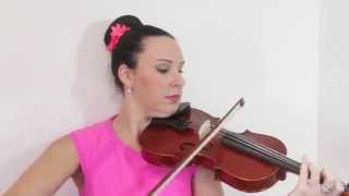 Stentor Conservatoire 1550  Violin Review [upl. by Eetnahc]