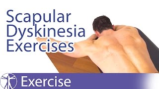 Best Scapular Dyskinesis  Dyskinesia Exercises [upl. by Trant304]