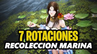 7 Rotaciones para recolección marina  Corales Ostras y Almejas  Black Desert Online [upl. by Downey]