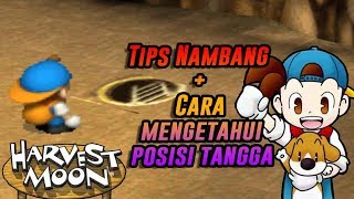 TIPS AND TRICK NAMBANG di Harvest Moon Back to Nature Indonesia [upl. by Cirdla]