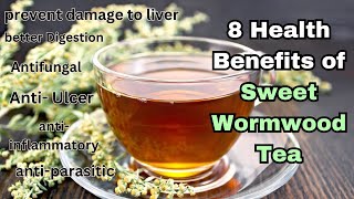 Unlocking the Power of Sweet Wormwood Tea 8 Health Benefits Revealed [upl. by Yerd802]