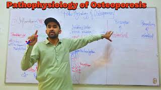 Osteoporosis Pathophysiology by IMTIAZ AFRIDI GBSN semester iv [upl. by Aener]