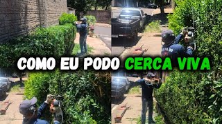 COMO PODAR CERCA VIVA  MURTA  Dia Dia do Jardineiro [upl. by Attelahs]