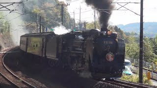 123【JR東日本】D51498とEF641001 SLぐんまよこかわ 汽笛とドラフト音あり [upl. by Savil]