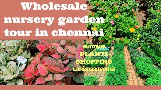 wholesale nursery garden tour in chennaiSM nursery padappaimy plant shoppingmygarden voice [upl. by Ahtel]