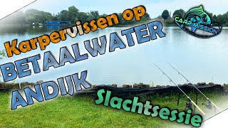 Karpervissen op BETAALWATER  SLACHTSESSIE  How To amp tips amp tricks  Carpmission [upl. by Pollard2]