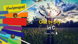 Ode to Joy on the Glockenspiel  Xylophone  Easy Tutorial in C [upl. by Aiello334]