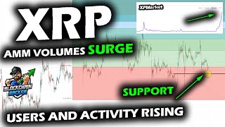 XRP Price Chart Bounces on Support as USER ACTIVITY EXPLODES with AMM VOLUME Awaits Bitcoin Lead [upl. by Verlie301]