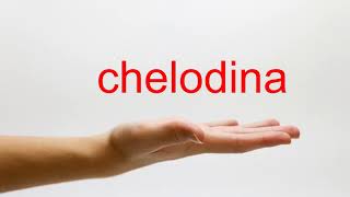 How to Pronounce chelodina  American English [upl. by Laird]