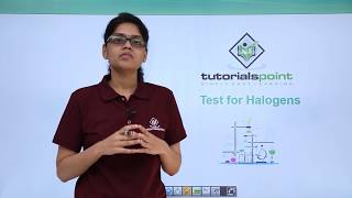 Class 11th – Qualitative Analysis  Test for Halogens  Organic Chemistry  Tutorials Point [upl. by Barret]