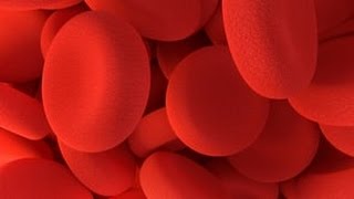 What is the difference between a blood clot and a thrombus [upl. by Wickham]