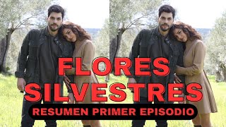 Akın Akınözü como Kılıç en Flores Silvestres Resumen Primer Episodio [upl. by Janet214]